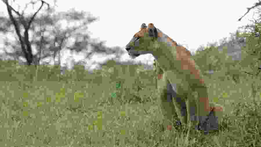 Tarangire National Park