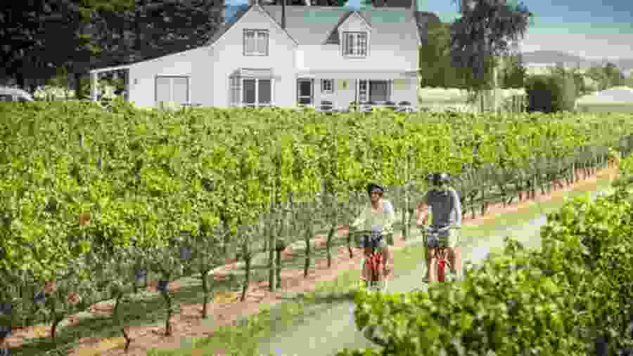Martinborough Vineyards