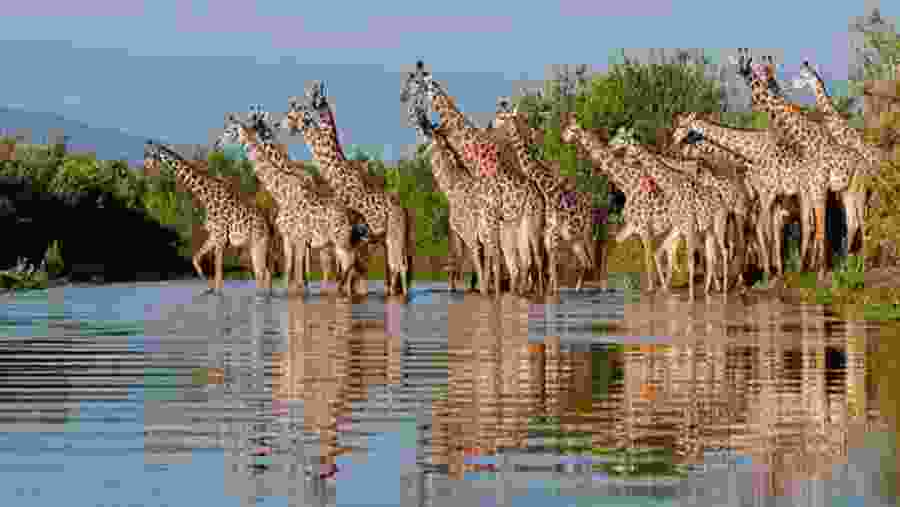 Selous National Park