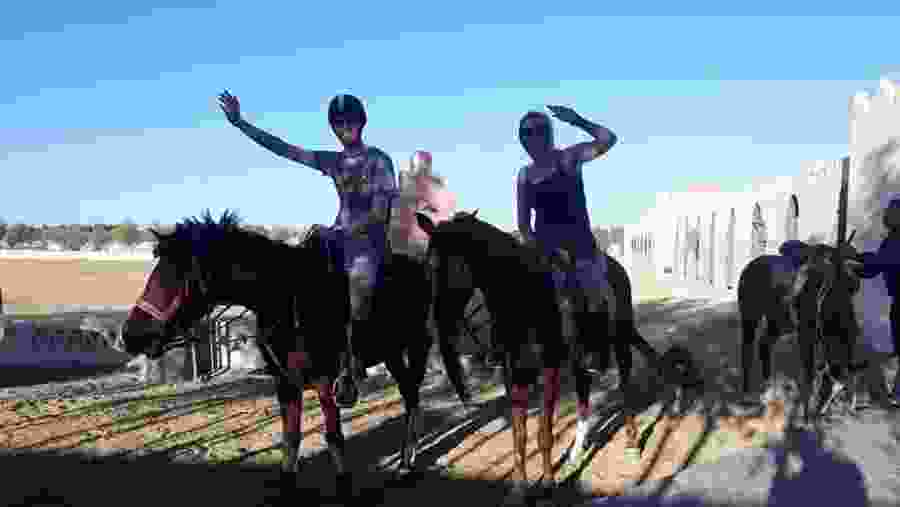 Buddy up for a horse ride