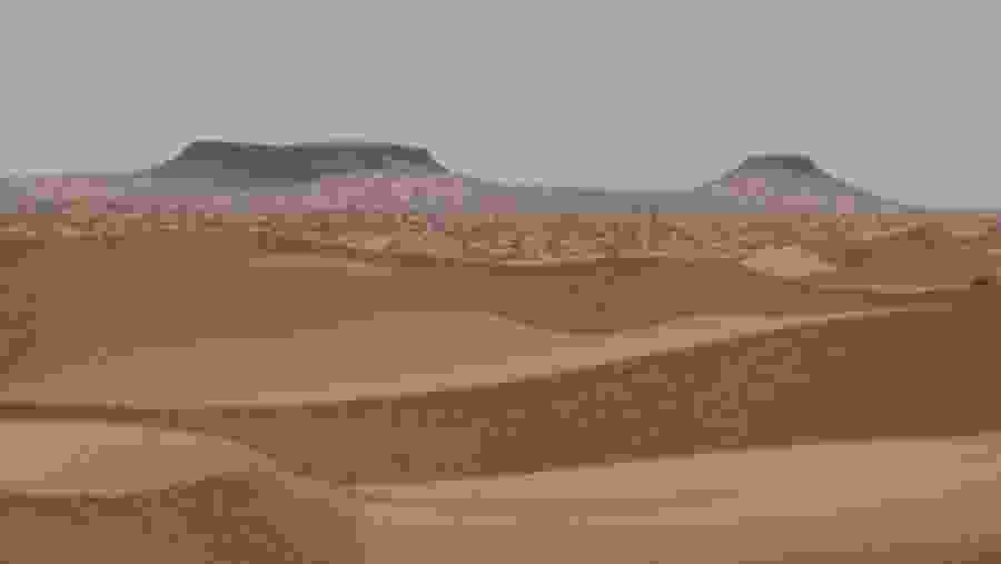 desert