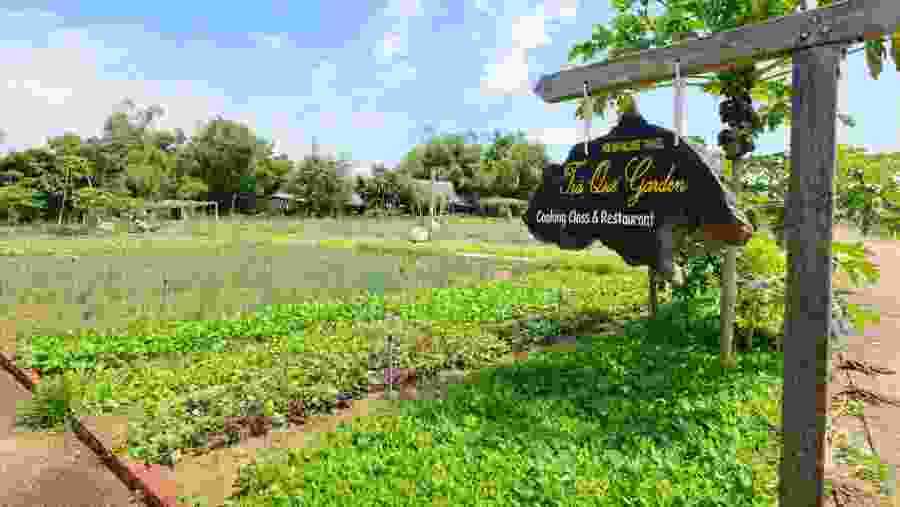 Cooking Class at Tra Que Village