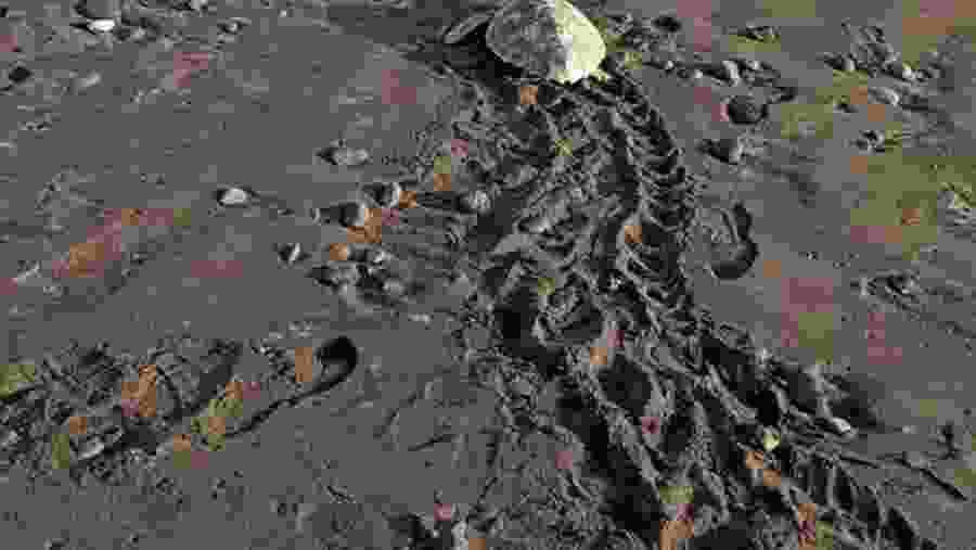 Santa Maria: Sal Island Sea