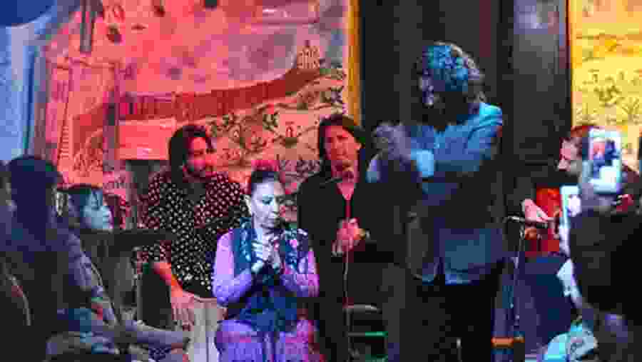 Enjoy the music show