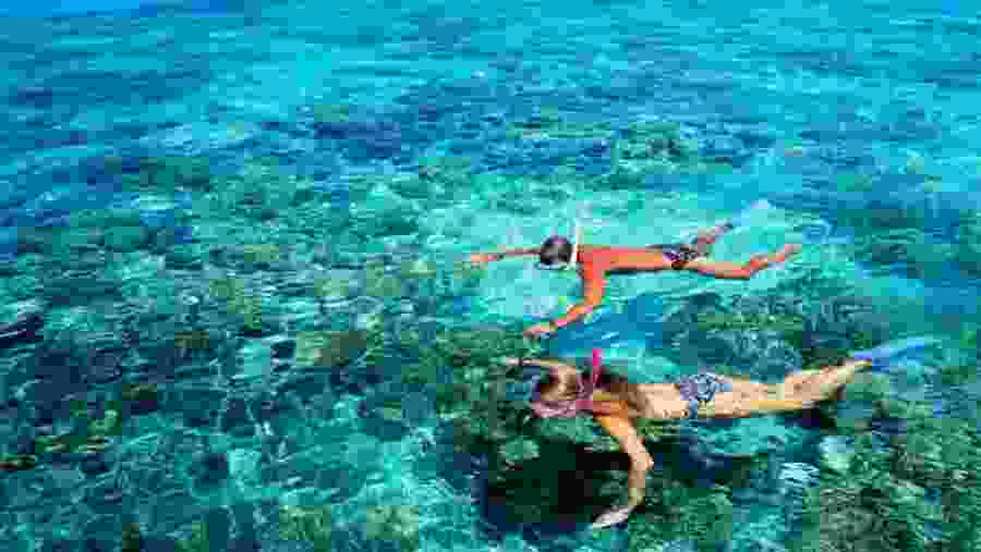 Snorkel around the coral reef