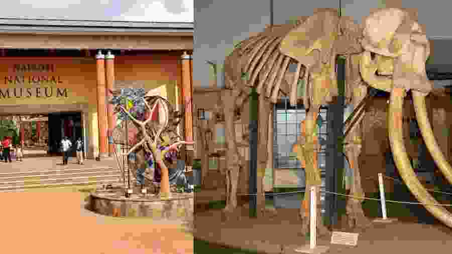 Nairobi National Museum Tour