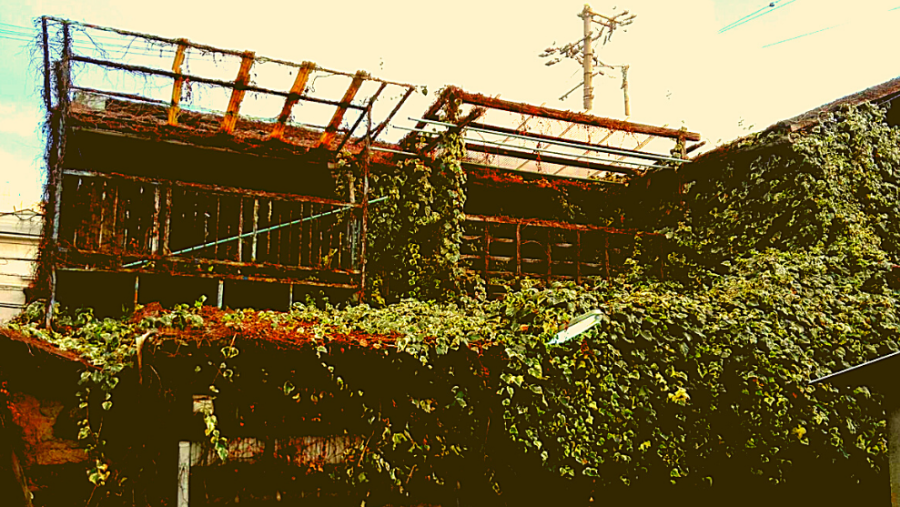 Delving into the abandoned houses district of Osaka, Japan