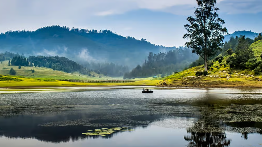 Kodaikanal Lake