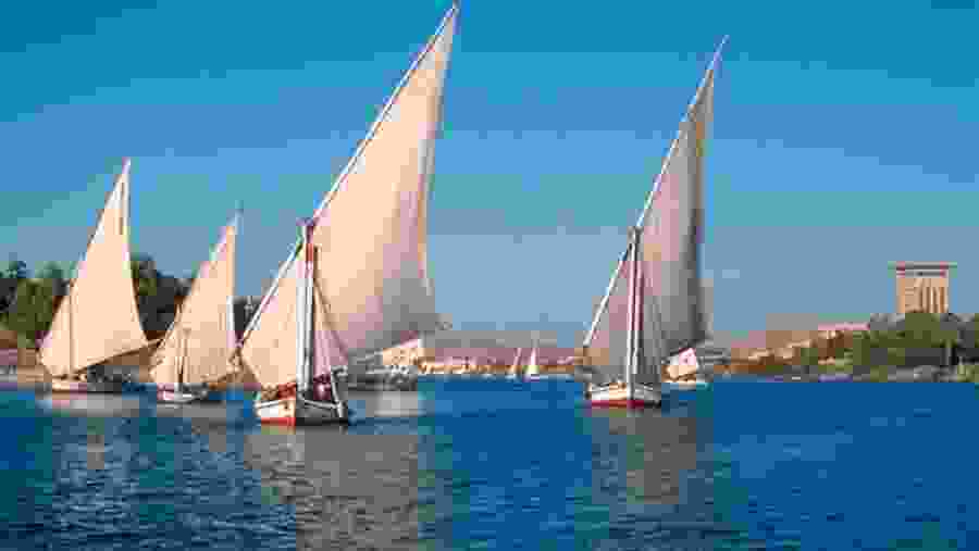 Felucca Ride