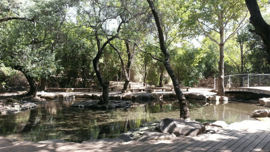 Dan National Park