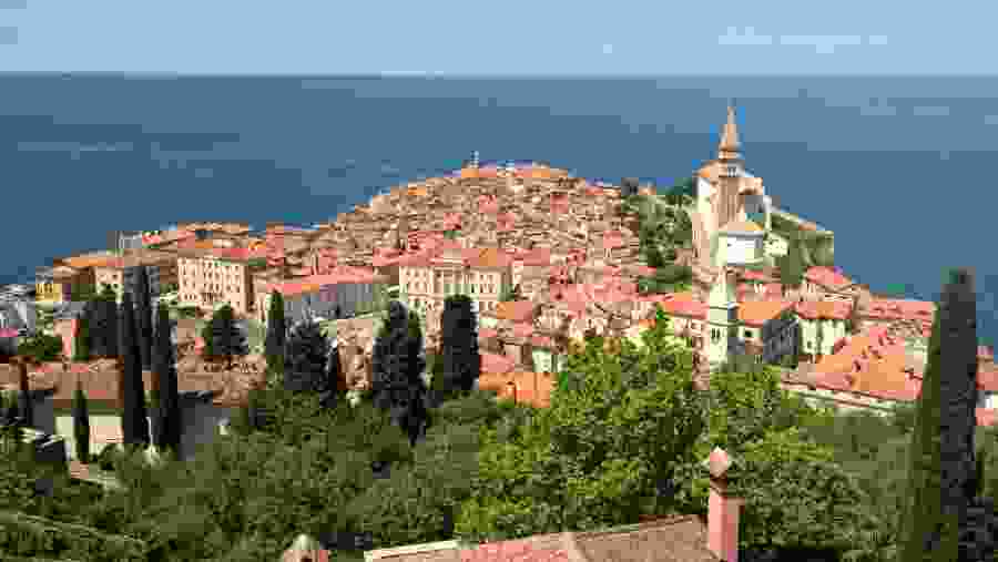 View of Piran City