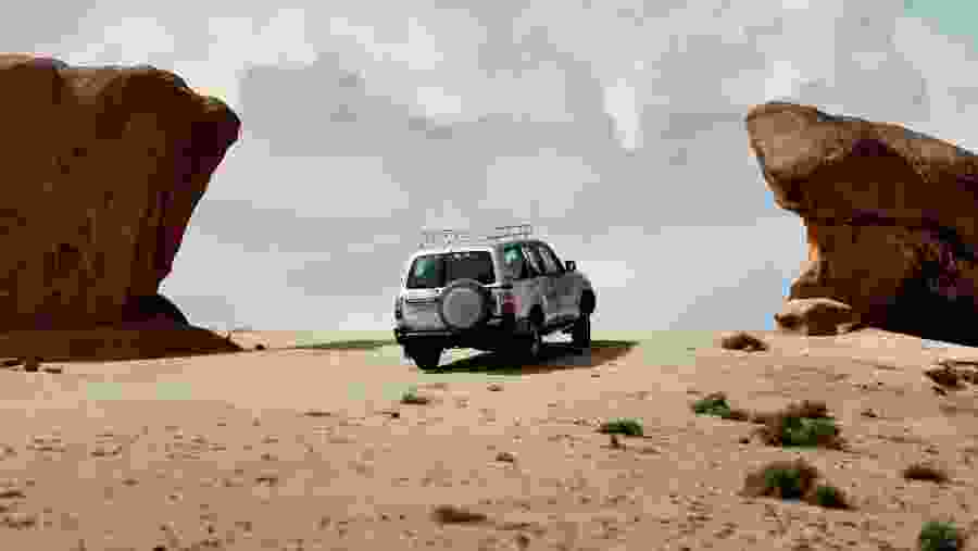 Safari Adventure