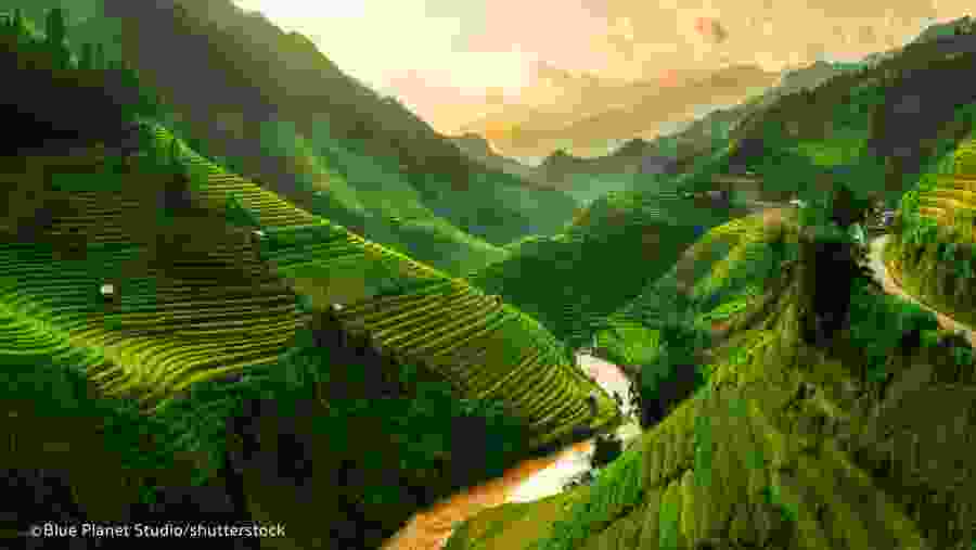 terraced landscape on mountains