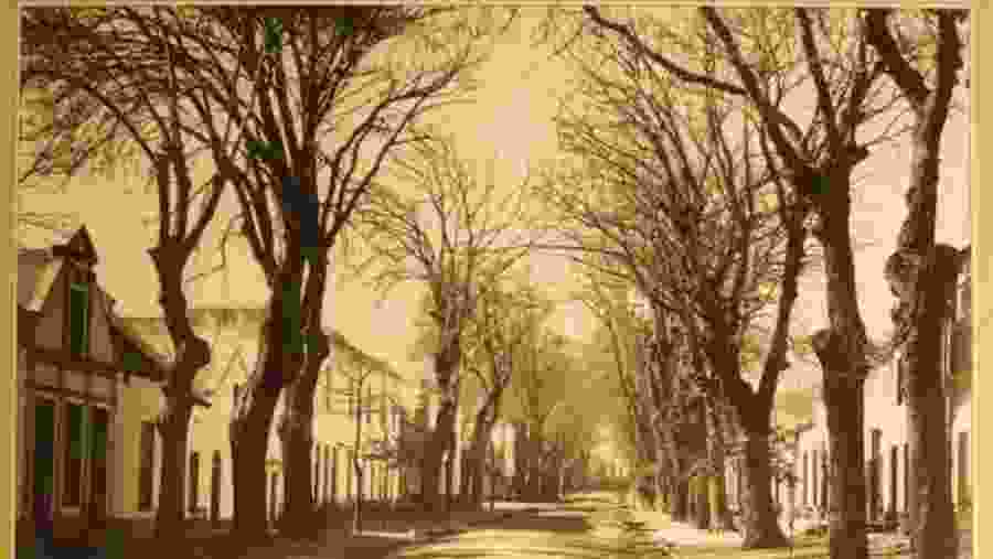 Dorp Street