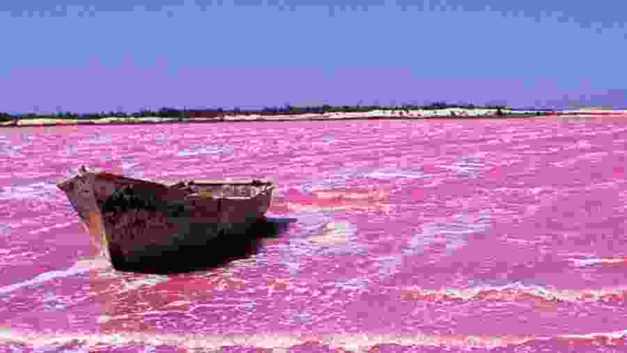 Spot unique views at Dakar