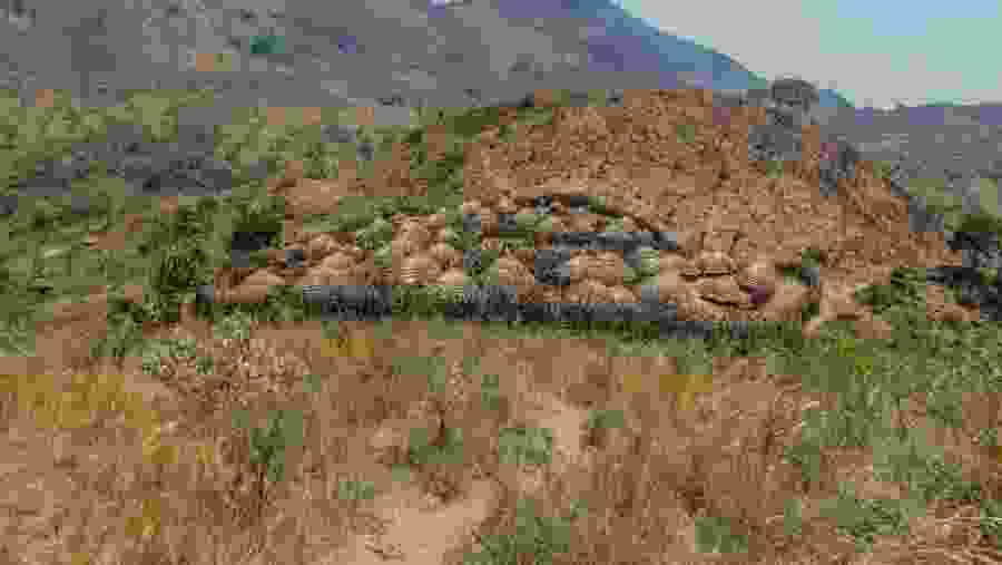 Uganda Cultural Safari