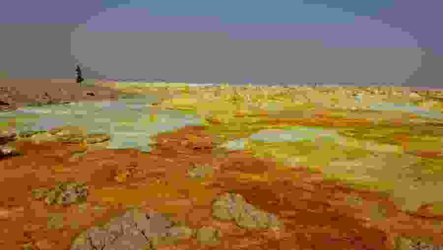 Marvel around the unique terrains in Dallol