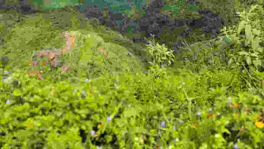 Kosoye Village Cultural Experience from Gondar