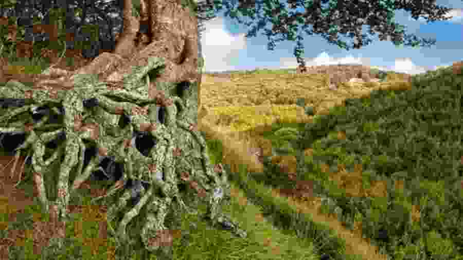 Monte Barigazzo