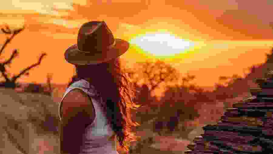 Safari Experience