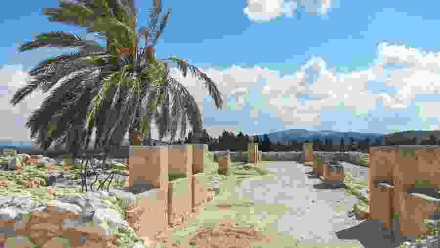 Megiddo National Park