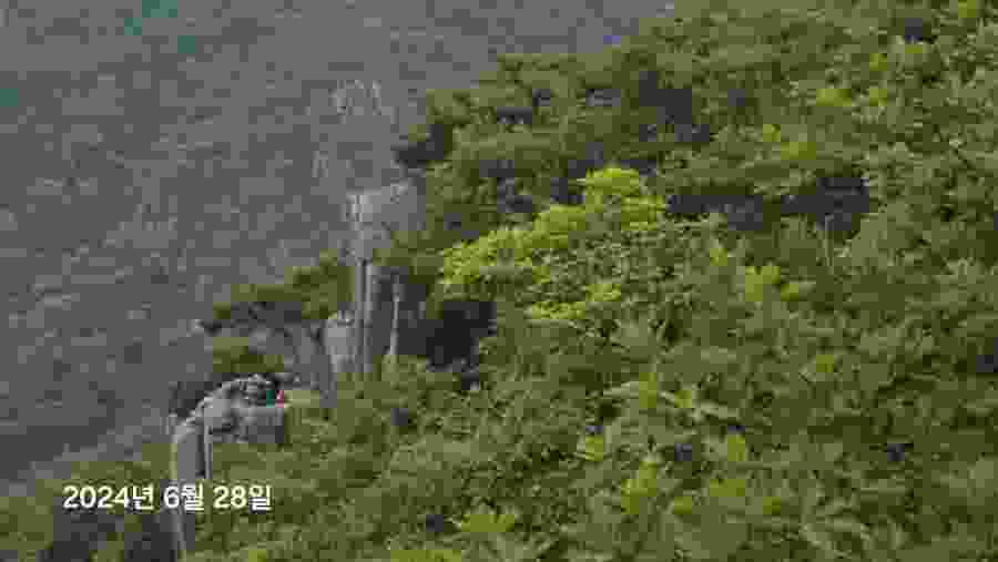 Mt. Gwanaksan Trekking