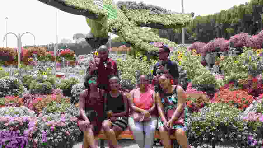 The Botanical Garden