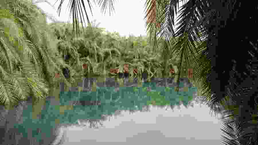 Kikuletwa Hot Springs, Tanzania