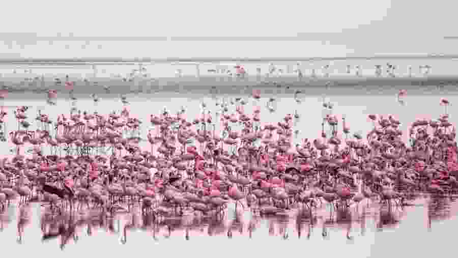 Lake Manyara National Park