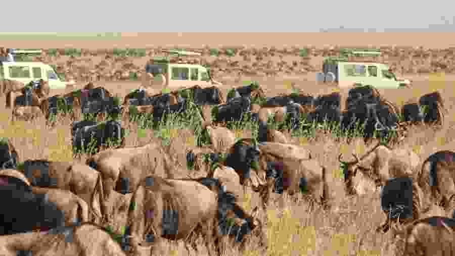 Serengeti National Park