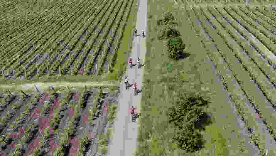 Travellers cycling