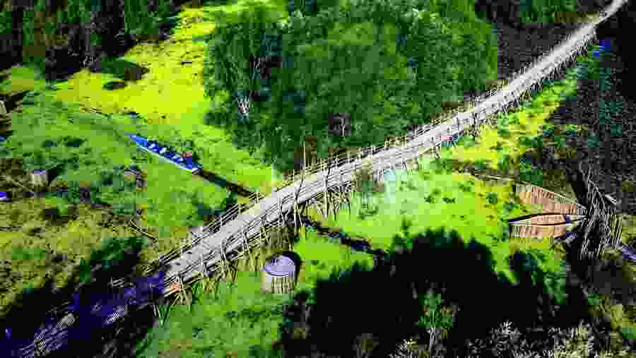 Tra Su Cajuput Forest