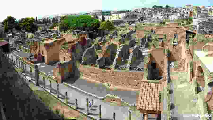 Herculaneum Private Guided Tour