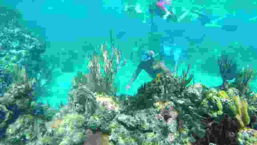 Snorkeling Experience