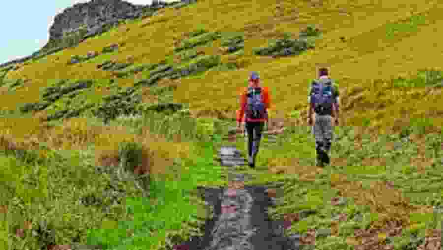 Traverse through the scenic Nyeri