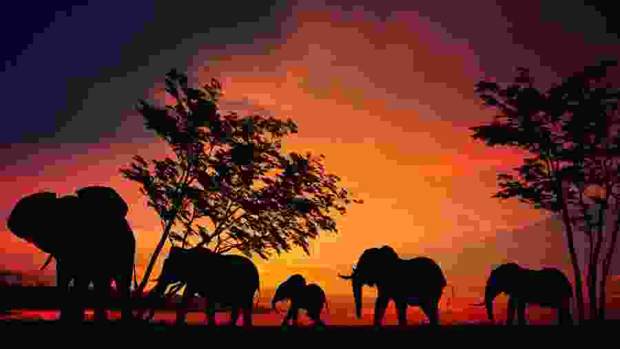 Serengeti National Park