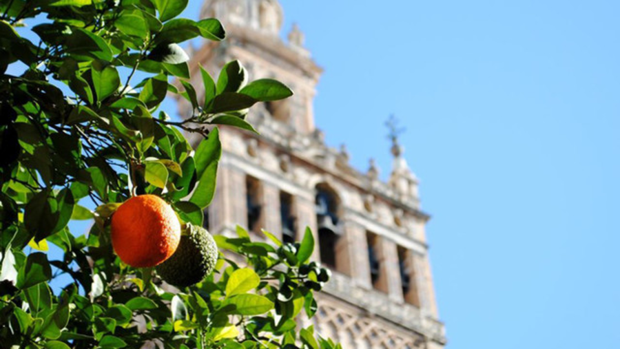 La Giralda