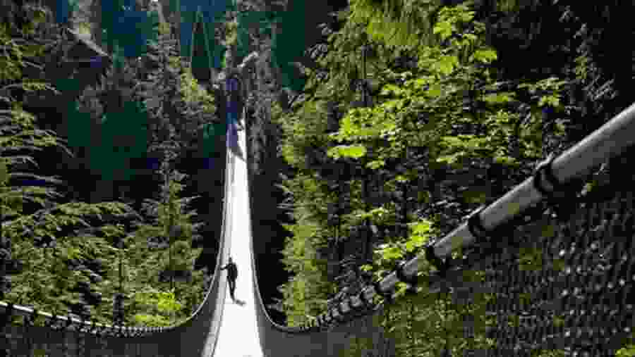 Capilano Suspension Bridge Park