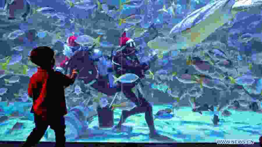 Enjoy Watching Aquatic Animals at Aquaria KLCC