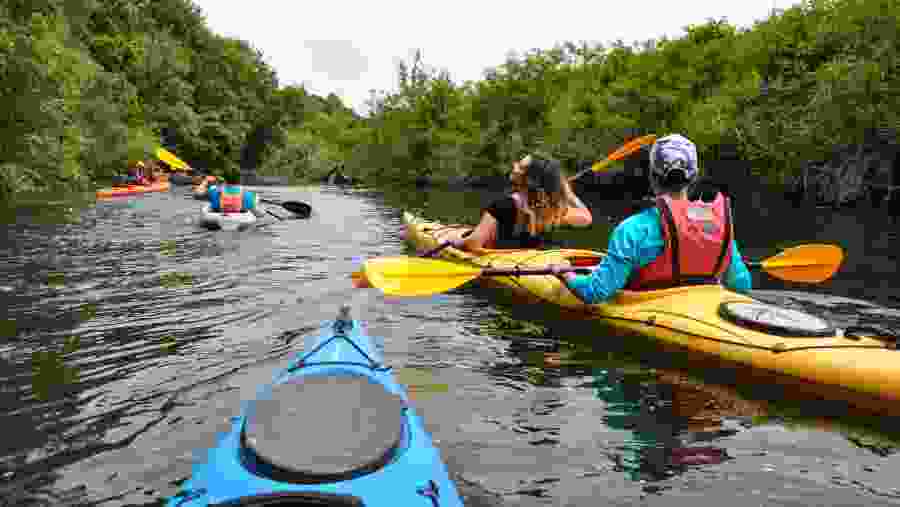 Kayak Tour in Kamchia River