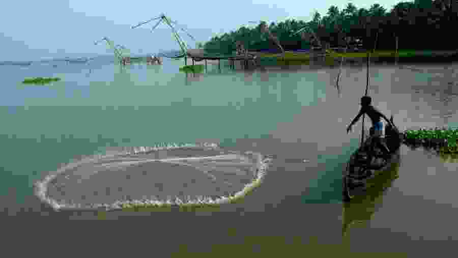 Fishing in Kumbalangi village