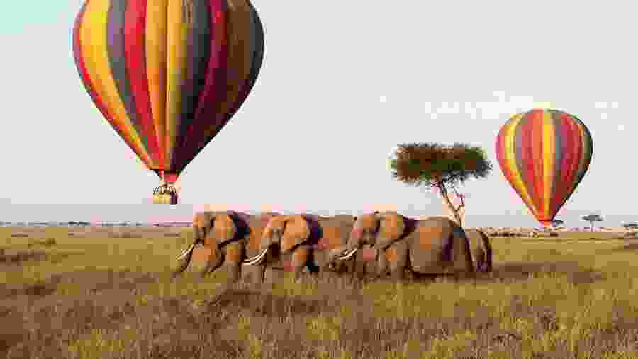 Amboseli National Park