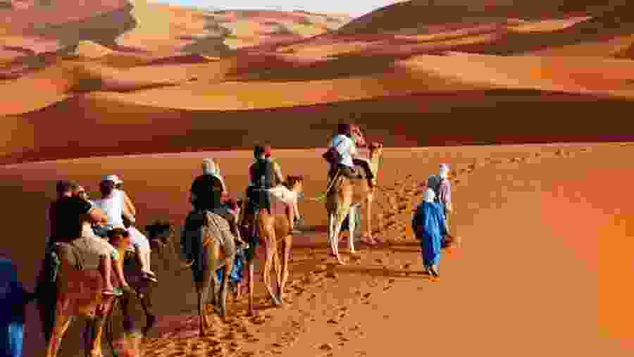 Camel Ride Across Erg Chebbi