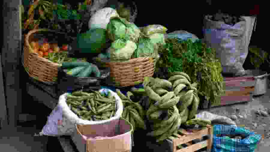 Santa Teresa Market, Peru