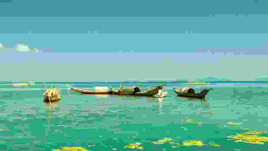 Traditional Fishing boats