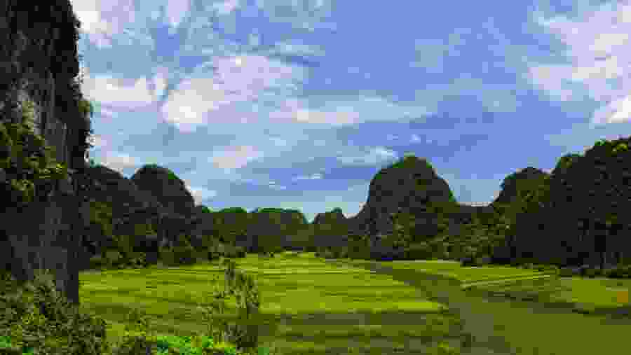 Panoramic view of Tam Coc from Mua Cave