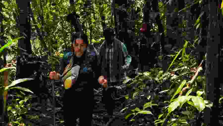 Travellers in the Amazon