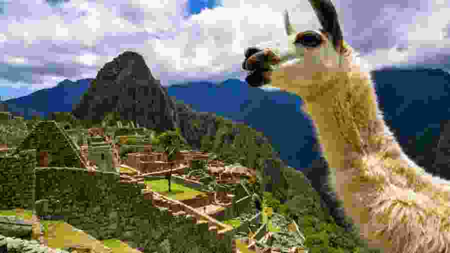 Machu Picchu