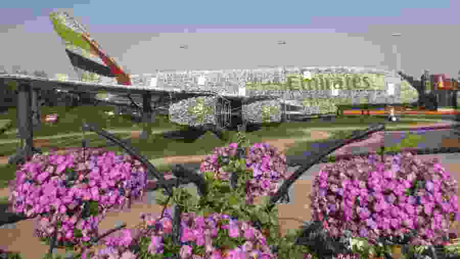 Dubai Miracle Garden
