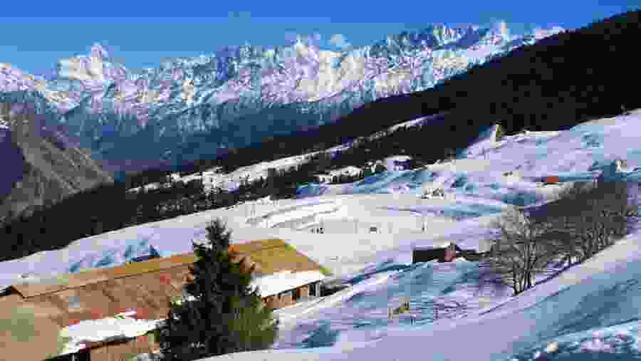 Auli